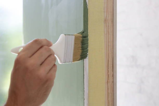 Best Black Mold Removal  in Black River, NY
