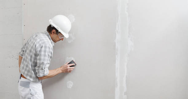 Best Mold Prevention Services  in Black River, NY