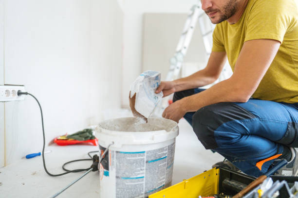 Best Real Estate Mold Inspection  in Black River, NY