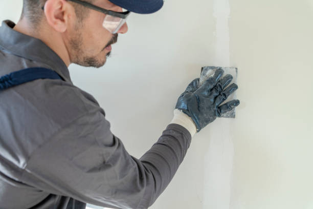 Best Emergency Mold Remediation  in Black River, NY