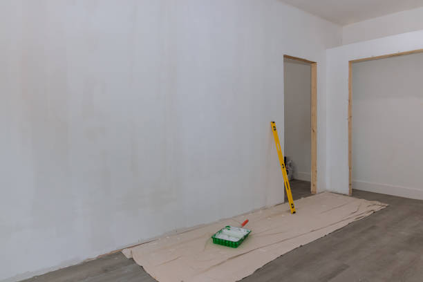  Black River, NY Mold Removal Pros