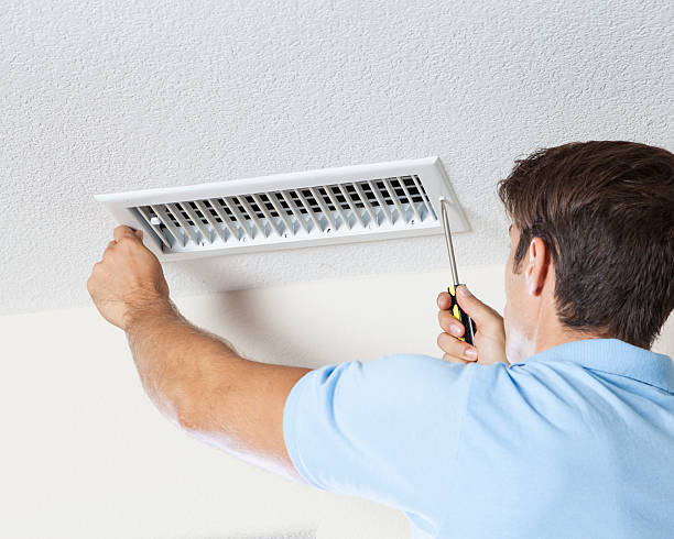 Best Industrial Mold Remediation  in Black River, NY