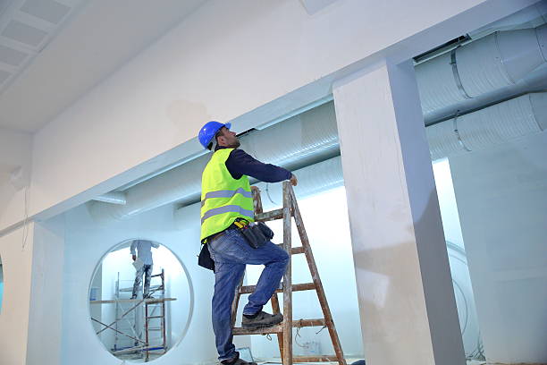Professional Mold Removal in Black River, NY