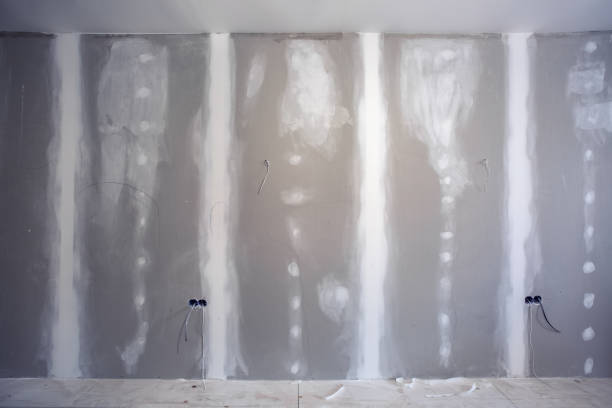 Best Post-Construction Mold Inspection  in Black River, NY
